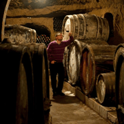 Orvieto: Besuch eines Tuffsteinkellers & Weinprobe mit Speisen
