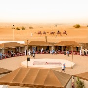 From Dubai: Desert Day Trip with Camel Ride, Dancers, & BBQ
