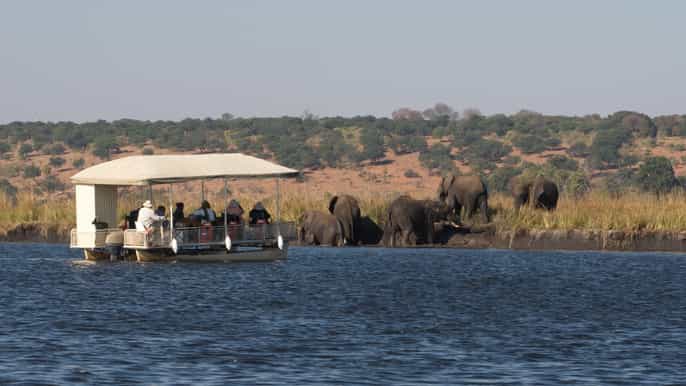 chobe national park 3hour river cruise