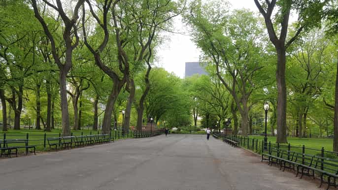 new york city visite à vélo de central park