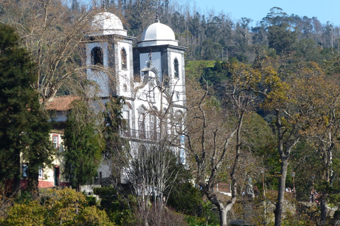 Funchal: Tukxi-Tour nach Monte