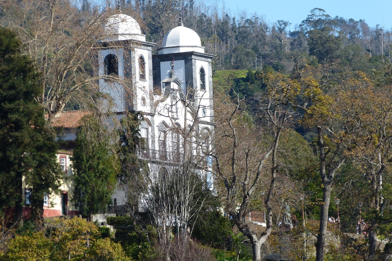 Funchal: Tukxi Tour to Monte