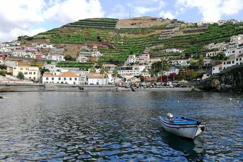 Funchal: privérondleiding Cabo GirãoFunchal: Tour met gids door Cabo Girão