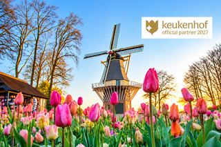 Depuis Rotterdam : visite en bus de luxe avec billet pour Keukenhof