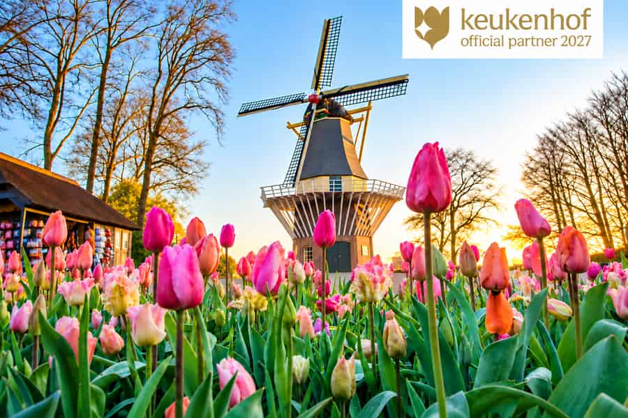 Ab Rotterdam: Luxus-Bustour mit Keukenhof-Ticket. Foto: GetYourGuide Ab Rotterdam: Luxus-Bustour mit Keukenhof-Ticket. Foto: GetYourGuide