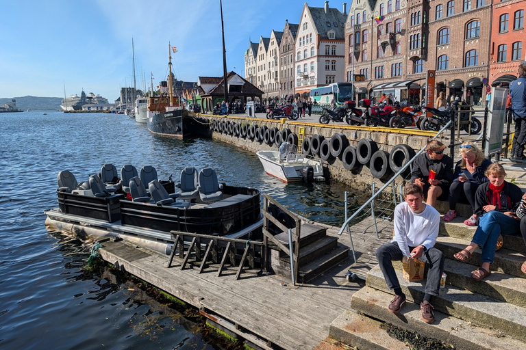 Bergen City Sightseeing Cruise by Lux Pontoon boat