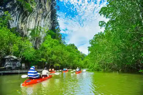 Krabi : visite d'une demi-journée Bor Thor Mangrove Kayak Tour