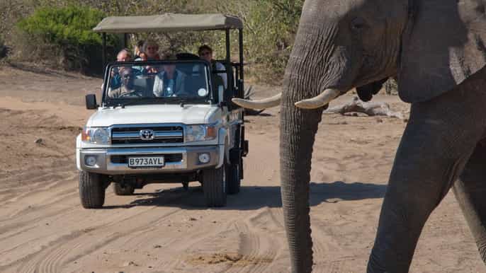 from victoria falls full day trip to chobe botswana