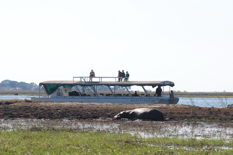 Desde las cataratas Victoria Excursión de un día a Chobe, Botsuana