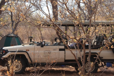 Von den Victoriafällen: Sonnenaufgang bis Sonnenuntergang Chobe Safari