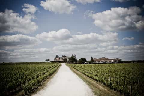 Bordeaux: an Afternoon in Margaux