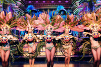 Paris, Dinner Show at the Moulin Rouge - Housity