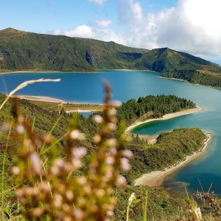 Ponta Delgada: Sete Cidades e Lagoa do Fogo Tour