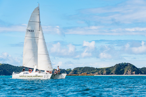 Au départ de Paihia : Circuit dans les îles avec déjeuner pique-niqueAu départ de Paihia : Croisière en voilier Island Hopper avec déjeuner pique-nique