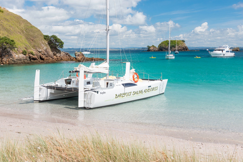 From Paihia: Island-Hopper Sailing Cruise with Picnic Lunch