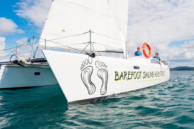 From Paihia: Island-Hopper Sailing Cruise with Picnic Lunch