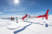 Franz Josef & Fox Glaciers Helicopter Flight & Snow Landing - Housity