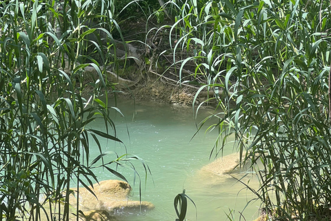 Mexico City: Taxco Tusentals vattenfall - Naturlig vattenpark