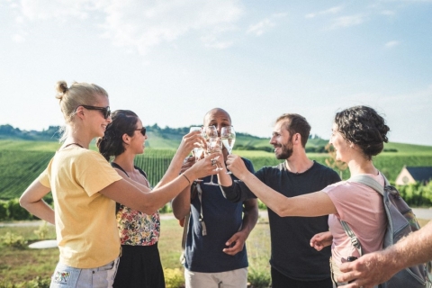 Luxembourg: Explore the Moselle Day Tour with wine tasting Shared Full-Day Tour in a Minibus