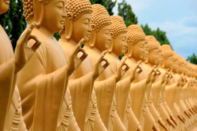 Doświadczenie w mieście Foz do Iguassu