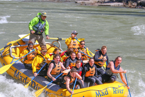 Jackson: gita di rafting in barca classica di 8 migliaTour di gruppo