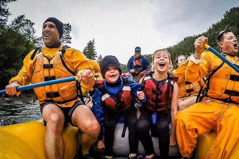 Jackson: gita di rafting in barca classica di 8 migliaTour di gruppo