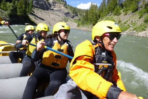 Jackson: gita di rafting in barca classica di 8 migliaTour di gruppo