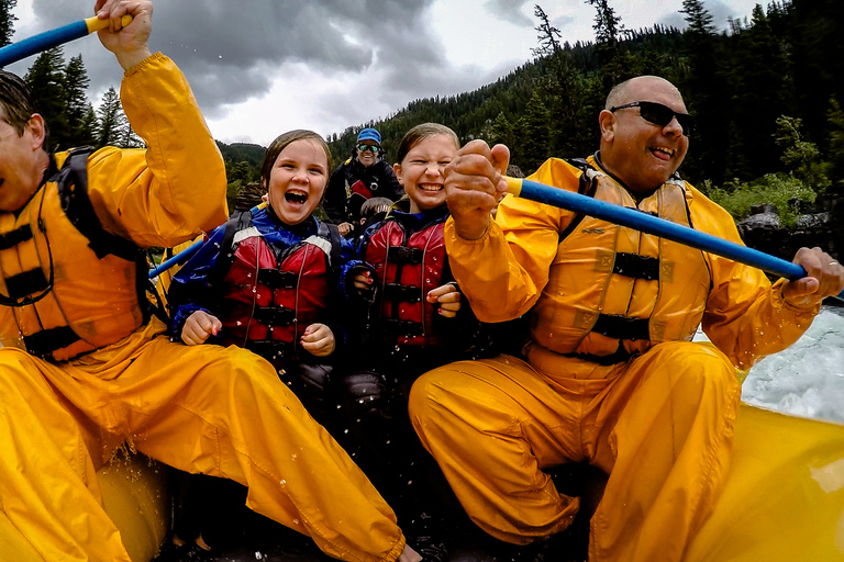 Jackson: gita di rafting in barca classica di 8 migliaTour di gruppo