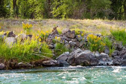 Jackson: 13-Mile Scenic Float with Teton Views