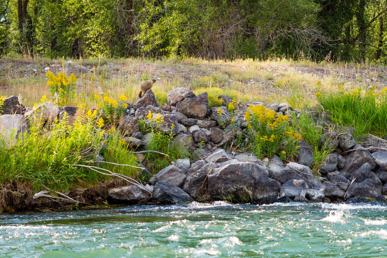 Jackson: 13-Mile Scenic Float with Teton Views