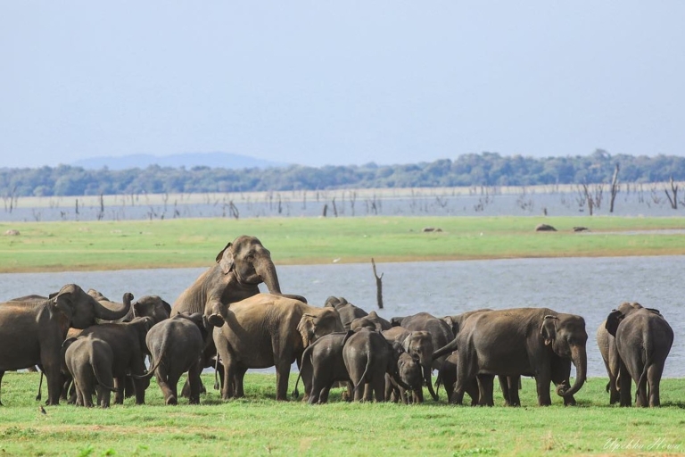 Safari dans le parc national de Kaudulla