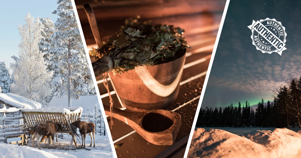 Lapland Full Day Tour with Lunch & Dinner GetYourGuide