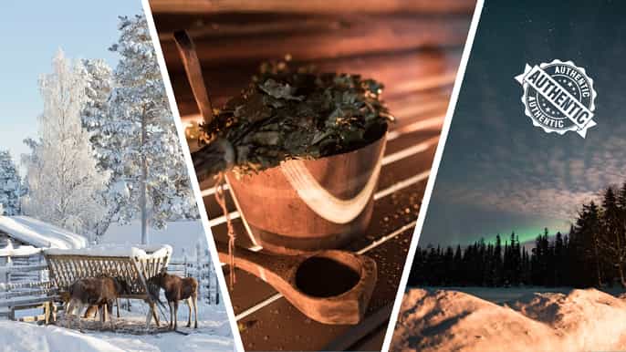 lapland full day tour with lunch dinner
