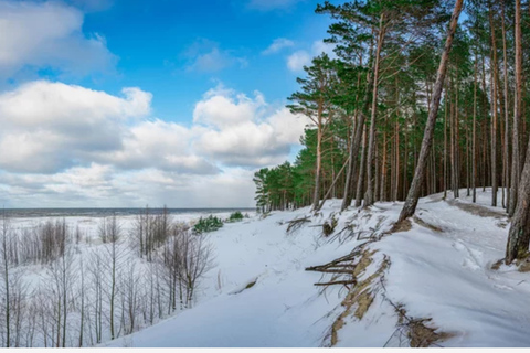 Jurmala,Kuldiga, Ragaciems Strand, Kemeri N Park,Essen &amp; TrinkenJurmala, Kuldiga, Kemeri N Park, Ragaciems Strand &amp; Essen