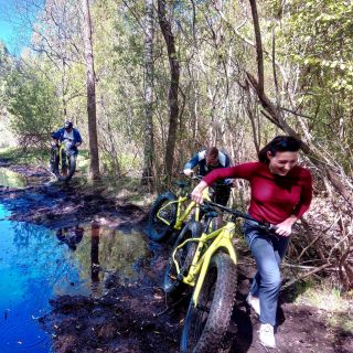 Visaginas: Swamps ja Bogs Fat-Bike Tour