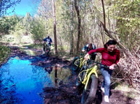 Visaginas, Sümpfe und Moor-Fett-Bike-Tour - Housity