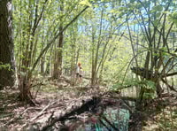 Visaginas, Sümpfe und Moor-Fett-Bike-Tour - Housity