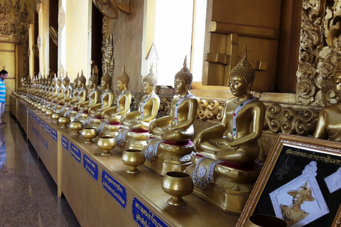 Da Bangkok: tour di Chachoengsao e crociera sul fiume Bang PakongTour di gruppo