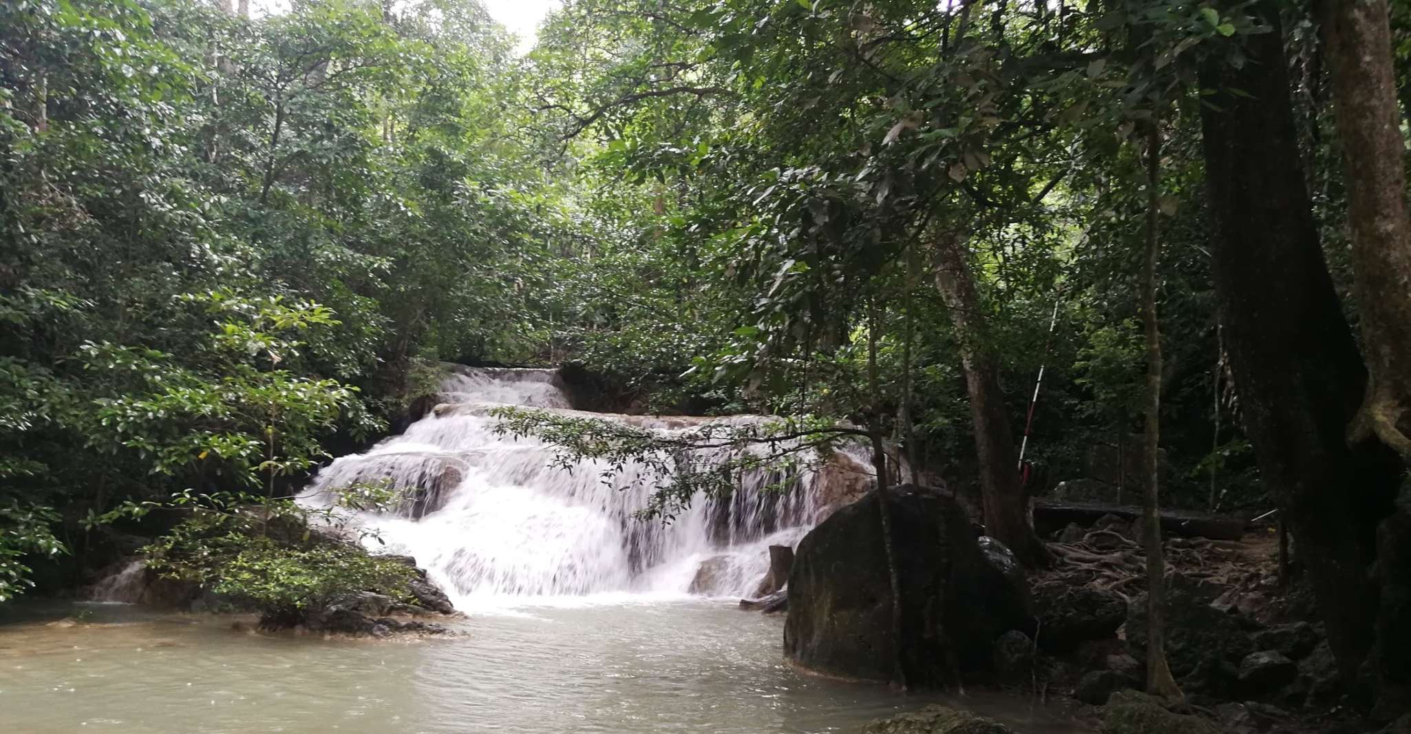 Da Bangkok, Eragan Park & Elephant Alimentazione Tour Privato - Hizvo