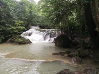 Da Bangkok, Eragan Park & Elephant Alimentazione Tour Privato - Hizvo