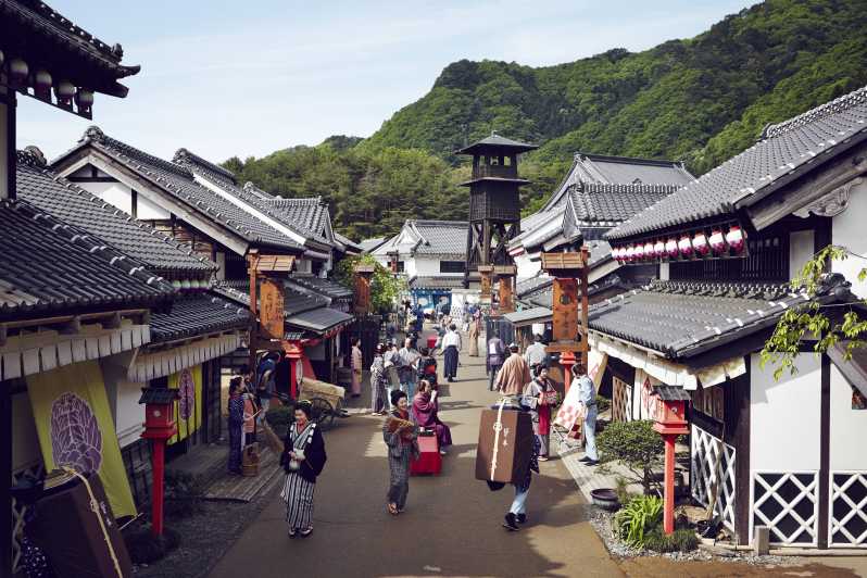 Билет в тематический парк о самураях и ниндзя Edo Wonderland