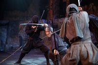 Edo Wonderland Samurai en Ninja Cultureel Theme Park Ticket - Housity