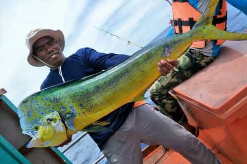 Krabi: Big Game Fishing and Snorkelling at Four Islands