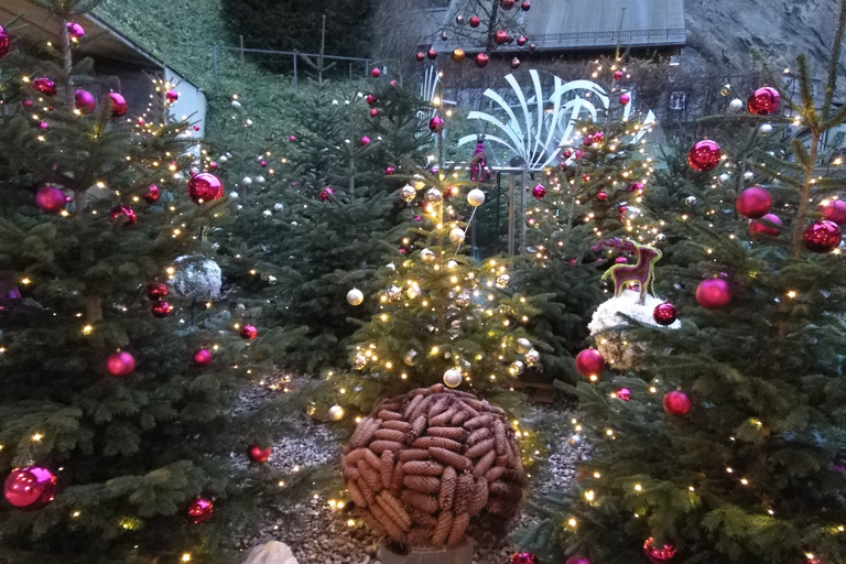 Salzburg City & Singing Christmas Tour in English