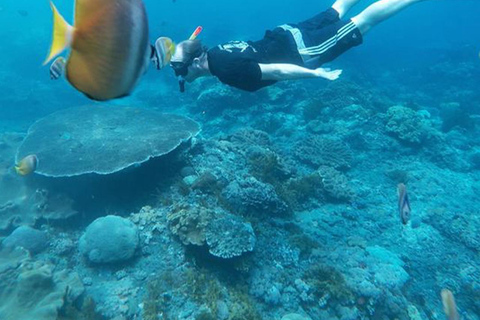 Nusa Penida: Snorkling till 3-4 platser med lokal guideSnorkling till 3-4 platser på Nusa Penida med lokal guide