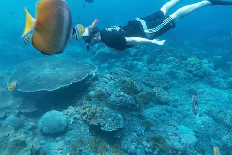 Nusa Penida: Snorkling till 3-4 platser med lokal guideSnorkling till 3-4 platser på Nusa Penida med lokal guide