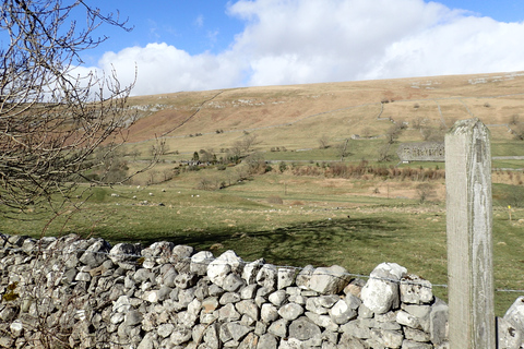 Van York: Full-Day Yorkshire Dales Tour