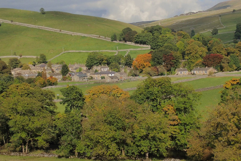 De York: visite d'une journée des Yorkshire Dales