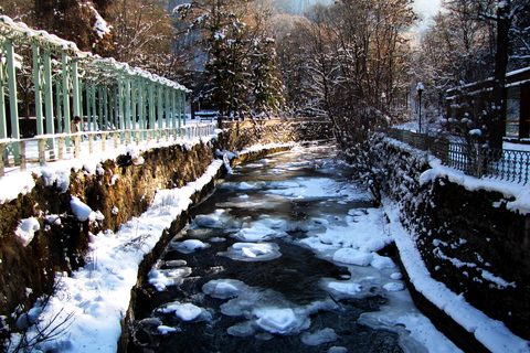 Tbilisi: privé-dagtrip Uplistsikhe en Borjomi Hot Pools