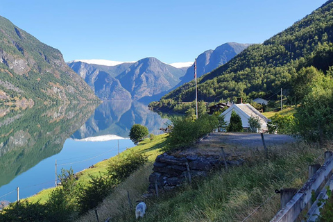 Flåm: Stegastein Viewpoint Scenic Bus Tour